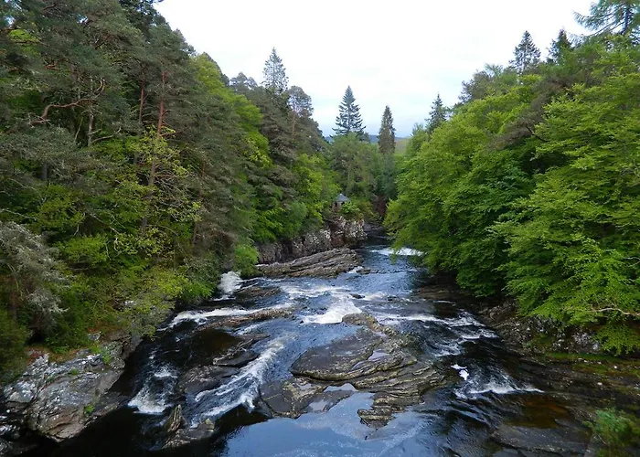Forest Glen Holiday Park