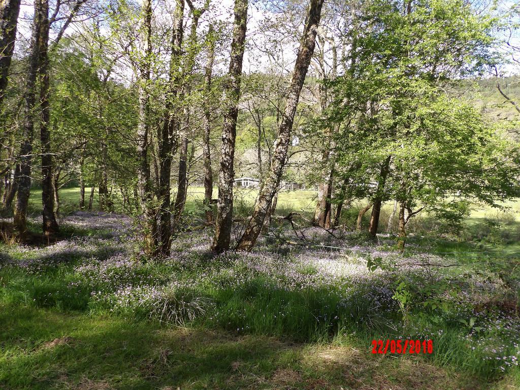 Forest Glen Holiday Park Holiday home *